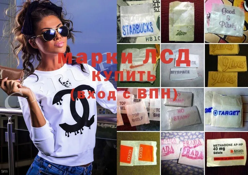 Купить наркотики сайты Гатчина Галлюциногенные грибы  АМФЕТАМИН  МЕФ  Cocaine 